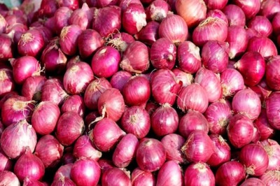 AI-based Warehouses To Mitigate Onion Wastage By Approx 5%: Report