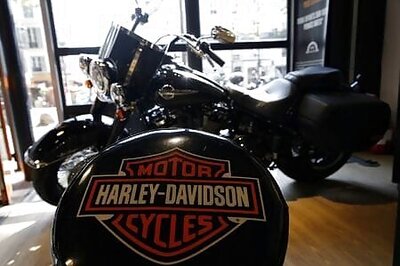 Harley's activist investor backs business reboot strategy