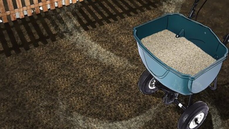 How to Grow Grass from Seeds