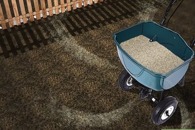 How to Grow Grass from Seeds