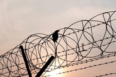 Singaporean Driver Jailed for Killing Indian-origin Motorcyclist in Fatal Accident: Report