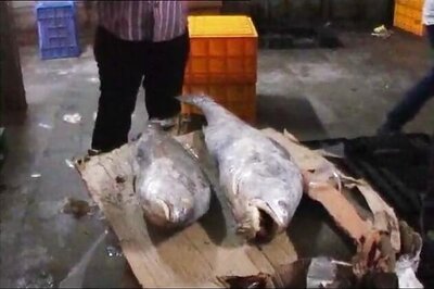 Gujarat fisherman nets fish stock worth Rs 1 cr