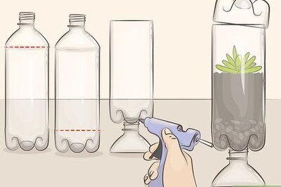 How to Make a Mini Greenhouse