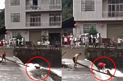Watch: Two Men Save Dog From Flood Water Using Ladder