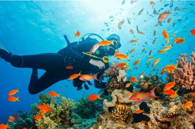 Discovering Ganpatipule in Maharashtra: Temples, Sunsets, and Adventure in 3 Days