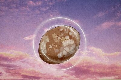 The Ultimate Guide to Flower Agate’s Healing Properties, Meaning, & Uses