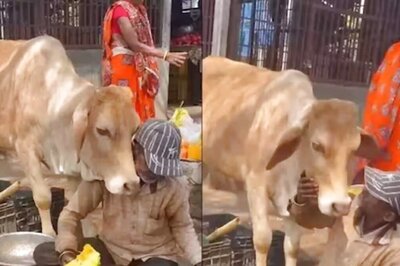 This Vegetable Seller's 'Tender Interaction' With Cow Is Winning Hearts Online