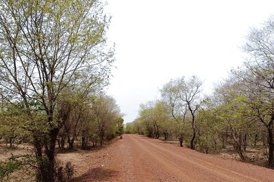 Remote Sensing & Aerial Survey in Southern Bihar to Identify Magnetite-Bearing Rocks & Ultramafic Rocks