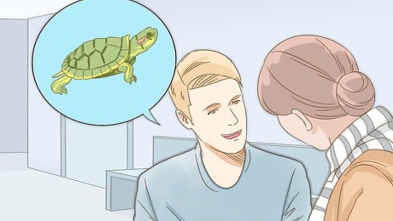 How to Care for a Red Eared Slider Turtle
