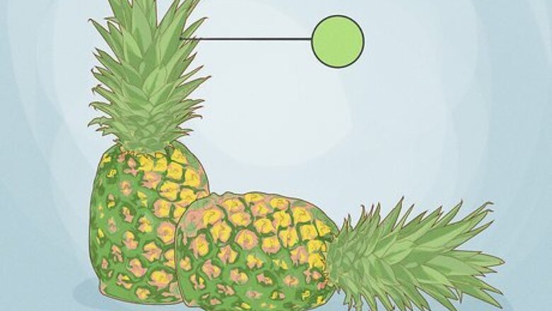 How to Plant & Grow a Pineapple at Home