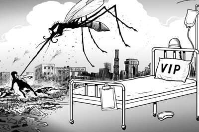 Dengue Cases in Philippines Hit Nearly 230,000, over 950 Dead, Says UN