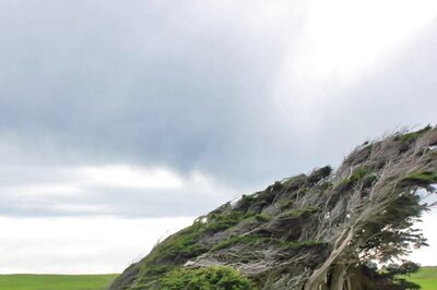 Is New Zealand's Slope Point The Most Unique Place On The Earth? Here's Why We Think So