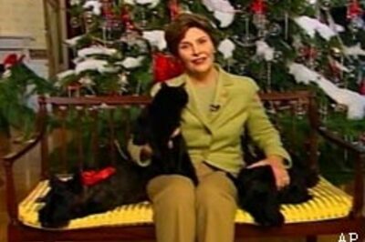 Bush's dog back with new video