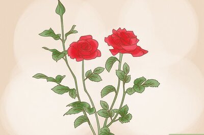 The Best Herbs & Plants To Use For Love Magic