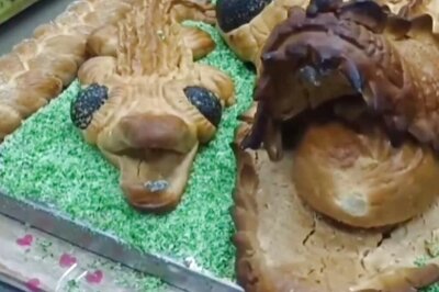 This Famous Tamil Nadu Bakery Makes Large Crocodile-shaped Cake For Christmas
