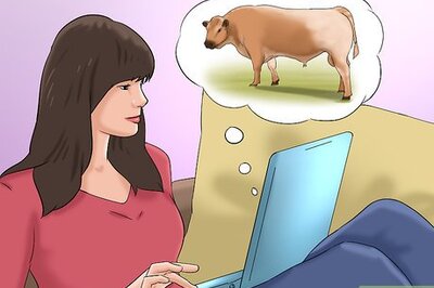 How to Identify Speckle Park Cattle