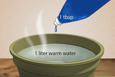 How to Clean Mold from Wood