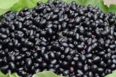 Hypoglycemia To Skin Problems, 4 Possible Side Effects Of Novel Fruits