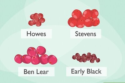 How to Grow Cranberries