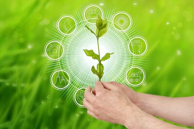 World Environment Day 2021: Events Across the Globe to Raise Awareness about Environment