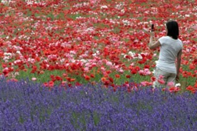 De-stress: Breathe your way to wellness