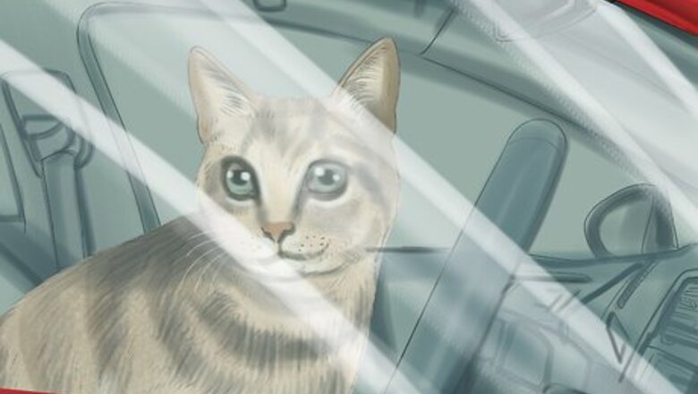 How to Prevent Heatstroke in Cats