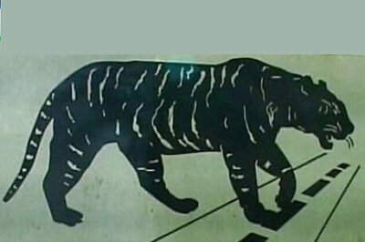 Jamshedpur: Man mauled after entering tiger enclosure