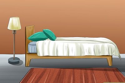 How to Take Pictures of Your Black Pet