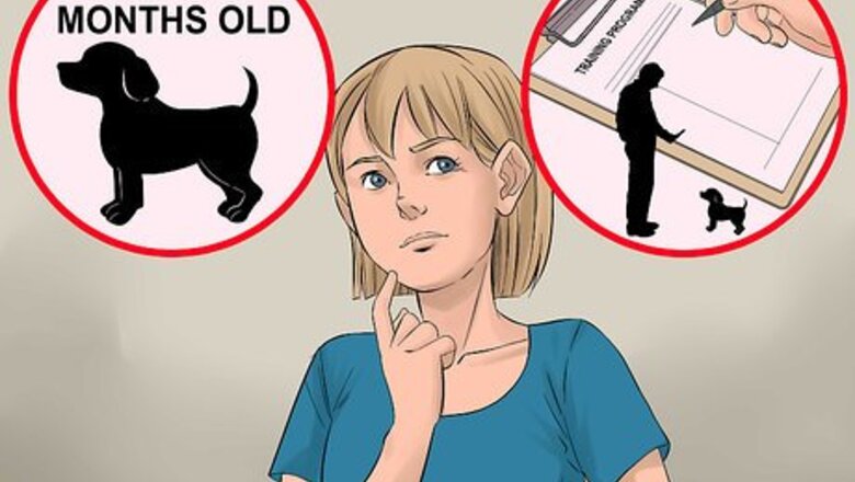How to Find Low Cost Dog Training