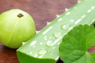 Aloe Vera Vs Amla: Which Is More Effective For Healthy And Strong Hair?
