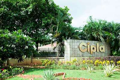 Cipla Shares Drop 5% But Trim Losses After USFDA Issues Warning Letter to Goa Unit