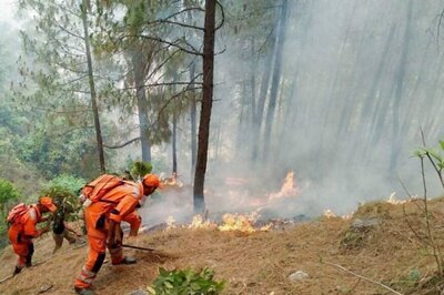 Forest Fire Serious Problem in Hilly Areas of Uttarakhand Says Supreme Court