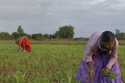 Why Did 7 States, including Gujarat, Bihar, Back Out Of PM Crop Insurance Scheme? Parl Panel Asks Govt