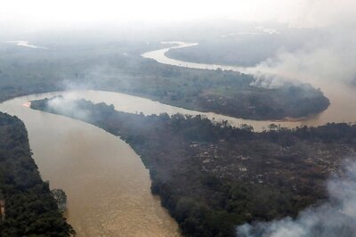 'Fire Doesn't Die, Just Sleeps': Brazil Fights 20 km-long Blaze in Pantanal, World's Largest Wetland