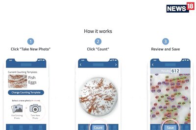 This Cool App Will Count Anything It Sees In Photos, But Can It Count The Money You’ll Pay For It?
