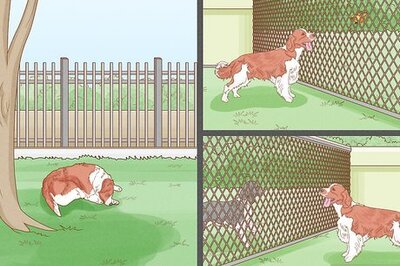 How to Keep a Dog from Jumping the Fence