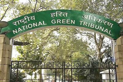 NGT Refuses Plea for Implementation of Centre's Contingency Plan to Control Locust Attack