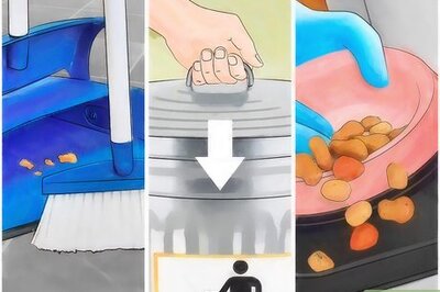 How to Keep a Fisher Cat Away