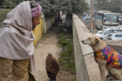 Warmest Day in Delhi Since Dec 31; IMD Says Western Disturbance Likely to Bring Light Rain