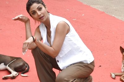 Shilpa Shetty Looks Cheerful as She Poses With Stray Dogs; See Pics
