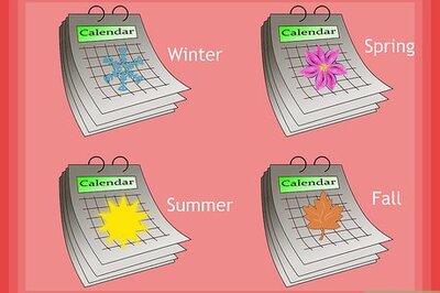 How to Plant Perennials