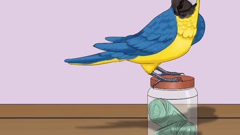 How to Calculate the Cost to Adopt a Parrot