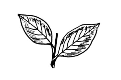 TN: Huge win for AIADMK in Sankarankoil