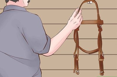 How to Clean and Oil a Leather Bridle