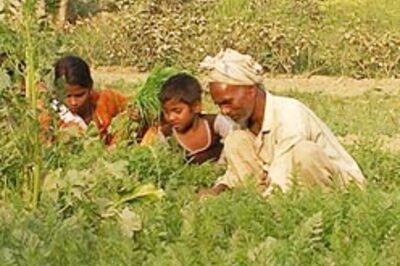 Loan waive-off good for growth: FM | Budget Highlights