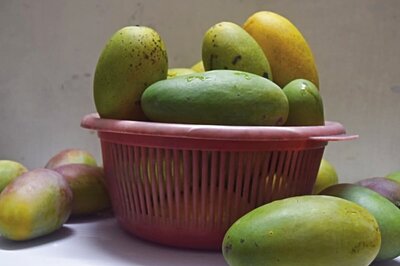 5 Popular Mango Myths and the Truth About Them