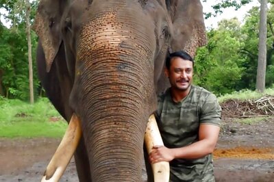 Kannada Actor Darshan's Heartwarming Post After Elephant Arjuna Dies During Fight With Wild Animal
