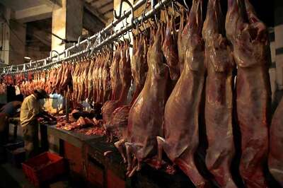 Shutting Meat Shops Briefly Not Unconstitutional, Says Bombay High Court