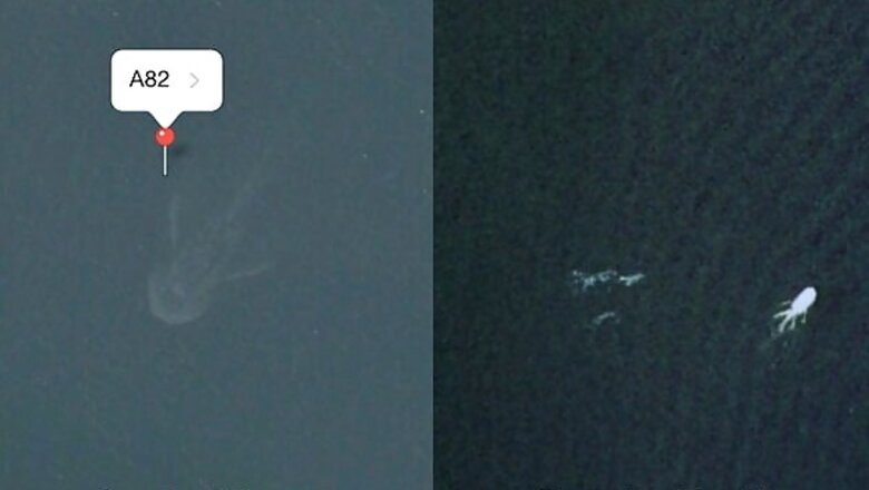 Is that the Loch Ness monster on Apple Maps?