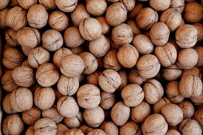 Consuming Walnuts May Be Beneficial For Sperm Health